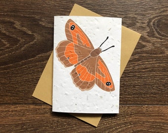 Gatekeeper Butterfly Seed Card – Plantable Wildflower Card