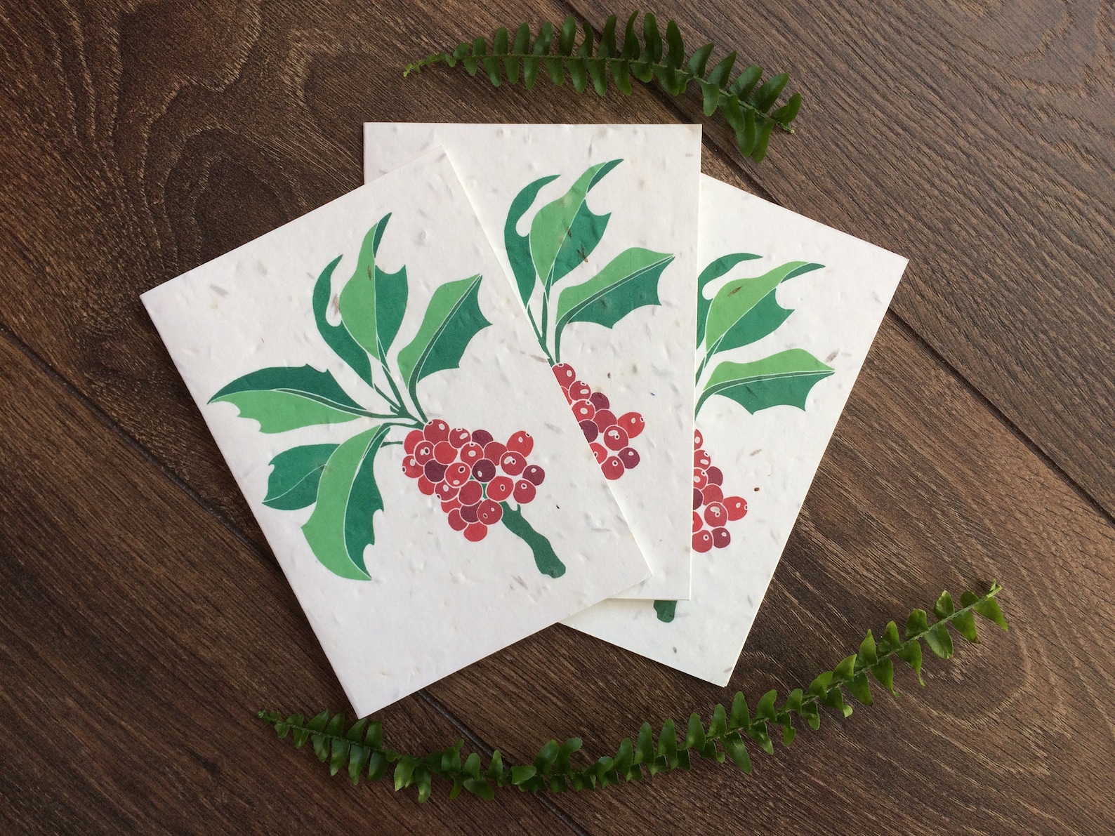 Pack of 3 Plantable Christmas Seed Cards With Envelopes Holly Berry