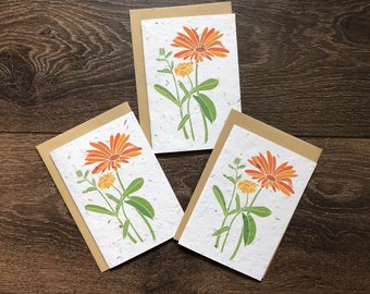 Marigold Plantable mixed Wildflower Seed Cards: Eco-Friendly Calendula Greeting Cards - Pack of 3