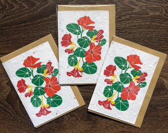 Nasturtium Seed Cards - Plantable Wildflower Greeting Cards Pack