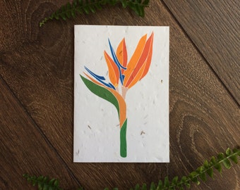 Bird of Paradise Plantable Seed Card – Marigold, Larkspur & Cornflower Wildflower Birthday Card