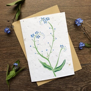 Forget-Me-Not Plantable Seed Card with Envelope - Thinking of You - Sympathy Card - Sorry for your loss card