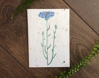 Cornflower Plantable Wildflower Seed Card: Vegan Thank You Sympathy Card