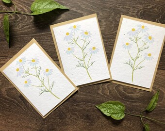 Plantable Camomile Seed Cards (Pack of 3) – Wedding, Sympathy, Save the Dates, Cotton Anniversary