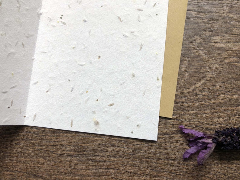 Carte de graines de capucines à planter avec enveloppe végétalienne Nouveau-né / Félicitations Carte de fête des mères Carte de remerciement maman image 4
