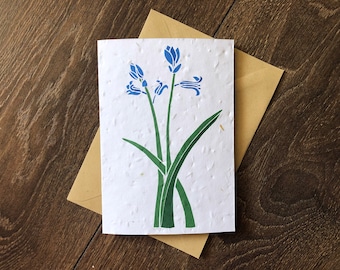 Carte de graines de Pâques à planter Bluebell avec enveloppe - carte de remerciement - carte de fête des mères - guérison rapide - carte de grossesse / femme enceinte