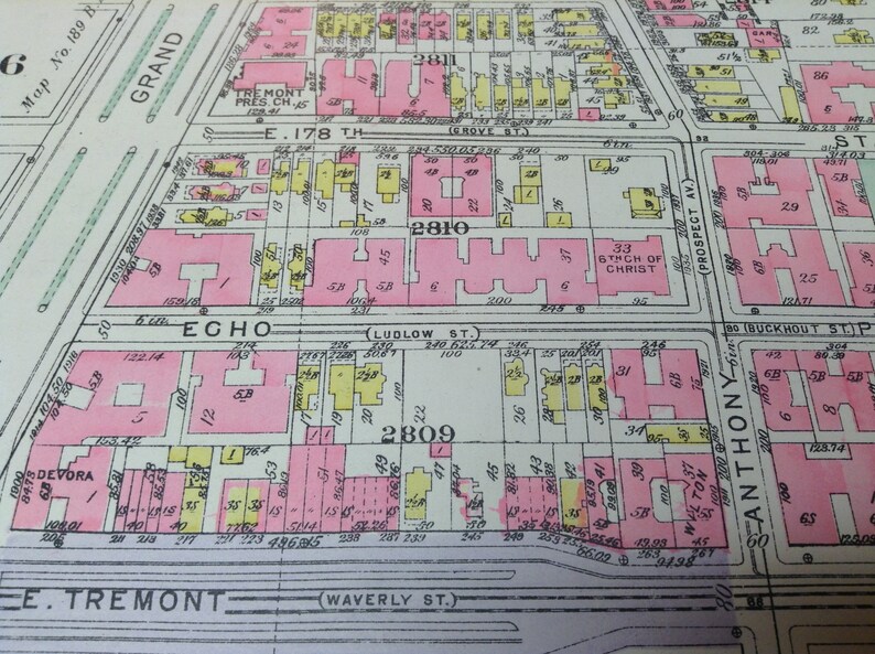 1928 New York Citybronxfordhameast Tremontgrand Concourseecho Park