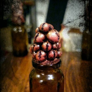 Puede incluir: Una pequeña botella de vidrio marrón oscuro con un tapón de corcho. El tapón de corcho está hecho de un material marrón rojizo y tiene una superficie texturizada y abultada.