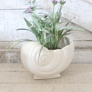May include: A cream-colored ceramic planter shaped like a nautilus seashell with a spiral design. The planter holds a cluster of green stems topped with small purple flowers, creating a decorative arrangement with a smooth, glossy finish.