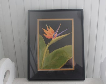 Original Watercolor Bird of Paradise Tropical Flower - Original Watercolor, Framed and Signed by Artist - Tropical, Florida Original Artwork