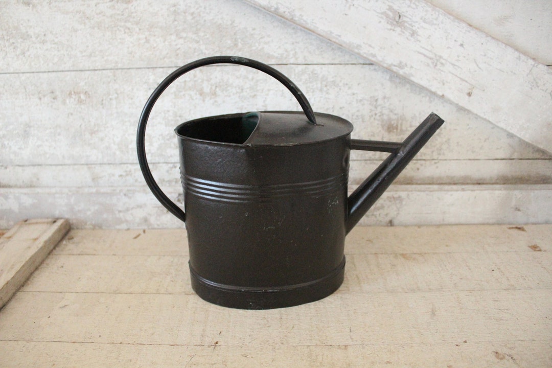 Vintage Metal Watering Can With Unique Handle Oval Metal Watering Can With Circular Handle