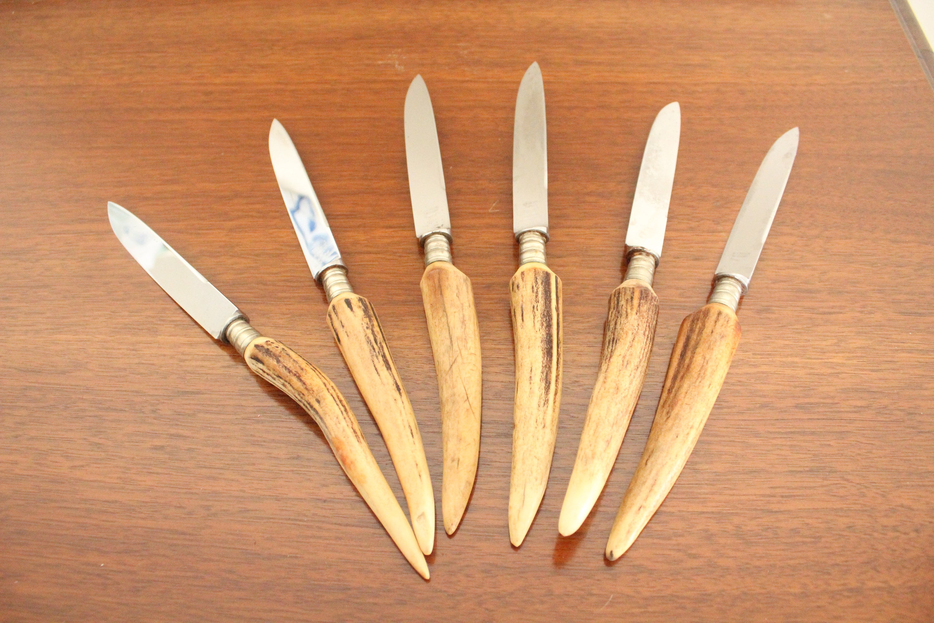 Rustic Antler Western Style Stainless Steel Steak Knife Set Of 6 Vintage  Cutlery