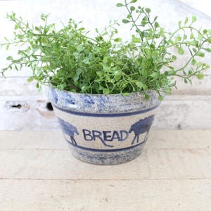 May include: A blue and white ceramic bread crock with a horse silhouette design and the word "BREAD" in blue. The crock is filled with green leafy plants. The crock is sitting on a white surface.