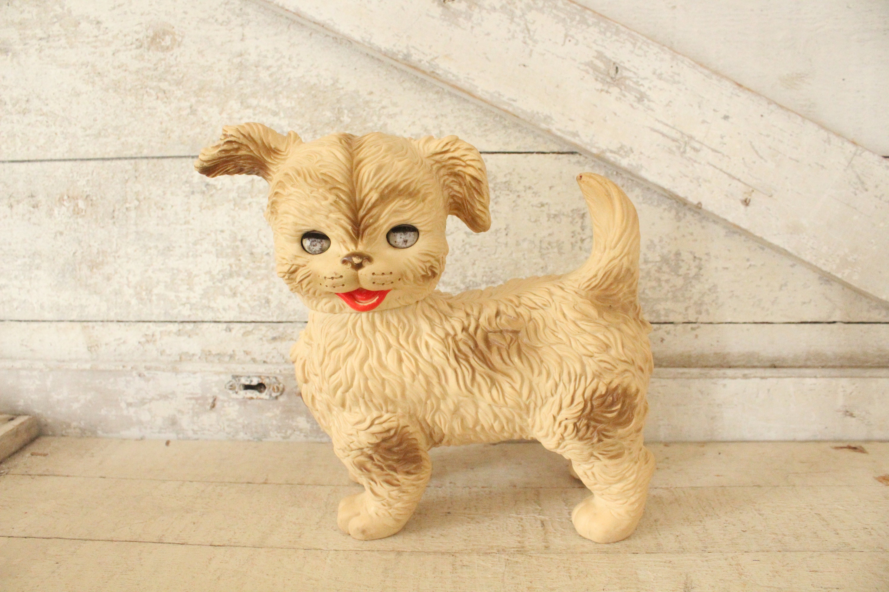 Edward mobley dog hotsell