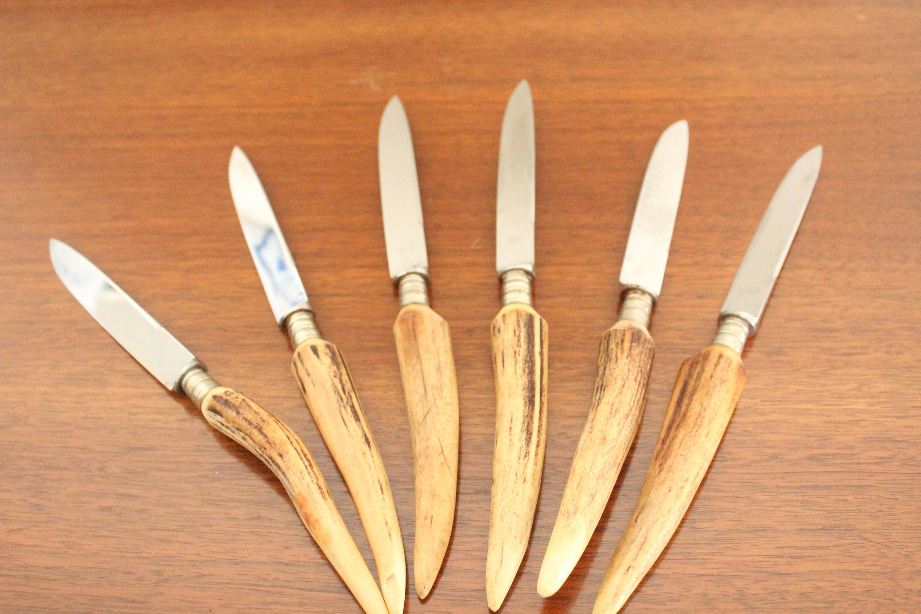 Vintage Antler-Handled Steak Knives - Set of 6 - Wonderful Life Farm