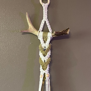 Macrame and Deer Antler Plant Hanger