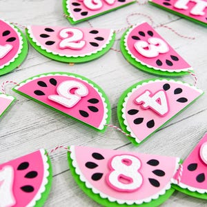 One in a Melon Milestone Photo Banner | Watermelon | 3 Color Options