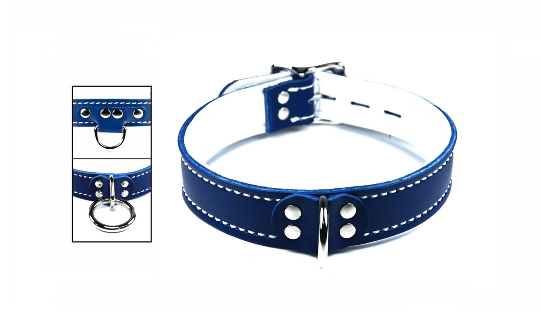 Locking Leather Collar Blue With Soft White Lining Locking Buckle Your