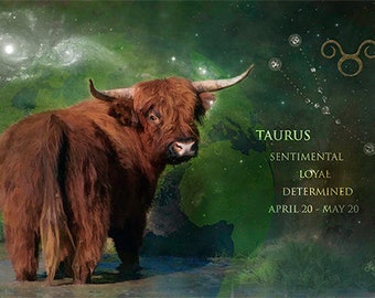 Taurus + Astrology + Zodiac +  Fine Art + Metal Print + Photography + Conceptual Art + Mystical  + Original Art