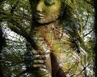 May include: A woman's face is partially obscured by a tree, with the text "Forest Goddess" written on the tree trunk. The image is a double exposure, with the woman's face and the tree overlapping.