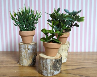 Dollhouse miniature assorted house plants in clay pots. 3 Pieces
