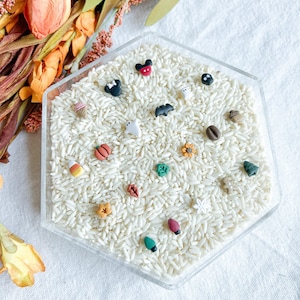 Puede incluir: Un recipiente hexagonal transparente lleno de arroz blanco y varios dijes decorativos en miniatura. Los dijes incluyen una cabeza de Mickey Mouse, un murciélago, un fantasma, una calabaza, un caramelo de maíz y un grano de café. Flores secas y follaje en el fondo.