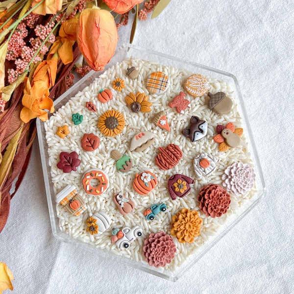 Fall Polymer Clay Stud Earrings: Build Your Own Autumn Pack