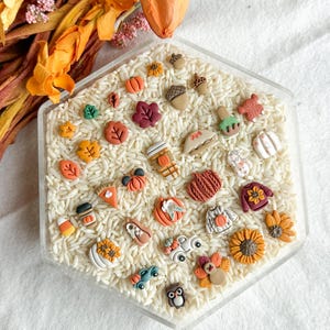 May include: A collection of small, colorful polymer clay charms shaped like autumn-themed items, including pumpkins, leaves, sunflowers, acorns, sweaters, trucks, and turkeys, arranged on a bed of white rice inside a clear hexagonal tray.