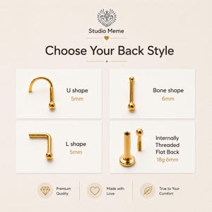 The image is a collage of four images depicting different types of nose studs, each with a different shape and size, along with their respective descriptions.
