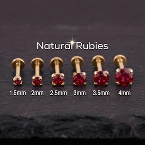 Peut inclure: Six clous de labret dorés avec des pierres précieuses de rubis rouges. Les tailles varient de 1,5 mm à 4 mm, présentés sur un fond sombre. Le texte "Natural Rubies" est affiché au-dessus.