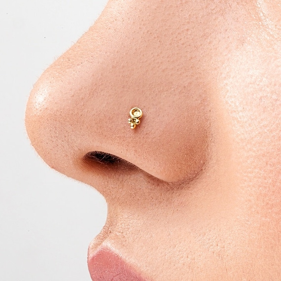 Small Gold Nose Pin 2024 | towncentervb.com