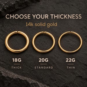 Massief 14K gouden neusring | Fijne neusring | Geel-, rosé- en witgoud | 16G 18G 20G 22G | 6–10 mm