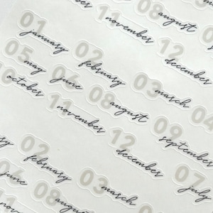 month script stickers - monthly bujo, journaling, bookbound