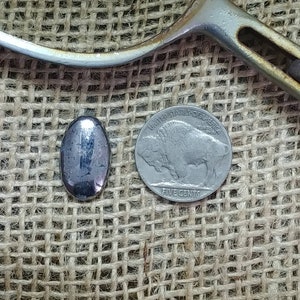 May include: A small, oval-shaped, dark gray stone with a metallic sheen. The stone is about the size of a US nickel.