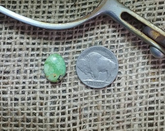 Verde Valley turquoise cabochon; gemstones, jewelry supplies, cabochons, accessories, handmade, hand cut, jewelers, silversmith, jewelry
