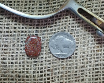 Dinosaur Bone cabochon; gemstones, jewelry supplies, cabochons, accessories, handmade, hand cut, jewelers, silversmith, jewelry