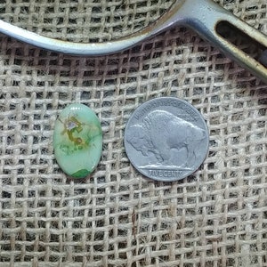 Cabochon turchese della valle di smeraldo; pietre preziose, forniture di gioielli, cabochon, accessori, fatti a mano, taglio a mano, gioiellieri, argentiere, gioiellieri