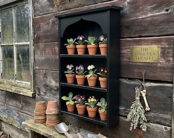 May include: A black, wall-mounted plant shelf with three tiers, each holding small terracotta pots with colorful flowers. The shelf is mounted on a weathered wooden wall, with a brass plaque that reads "THE AURICULA THEATRE".