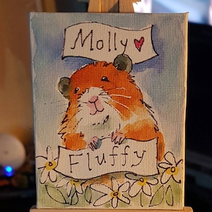 Pet portrait