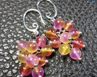 Nice Bicolore Agate Cluster Plated Silver Earrings