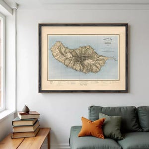 Könnte beinhalten: Eine gerahmte Vintage-Karte einer Insel mit detaillierten topografischen Linien in Braun- und Beigetönen auf hellblauem Hintergrund. Die Karte befindet sich in einem dunklen Holzrahmen und hängt über einem grünen Sofa.