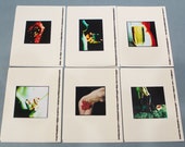 Tarjetas de felicitación desnudas navideñas - tarjeta de fotos desnuda de bellas artes descaradas - paquete de 6