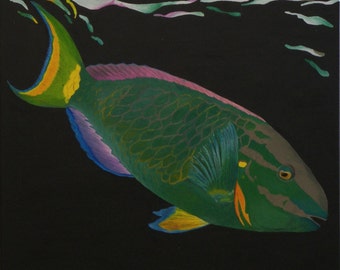 Parrot Fish Oil Painting, Parrot Fish on Black Background, Original Oil Painting, Fish Reflections - Parrot Fish (20" x 20")