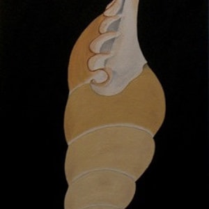 May include: A beige seashell with a white, spiraled tip against a black background. The shell has a textured, layered appearance.