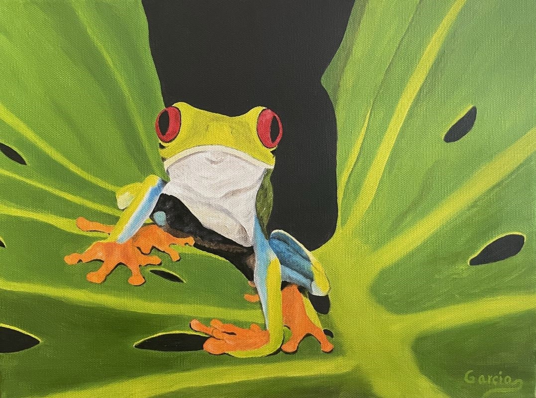 Red Eyed Tree Frog Oil Painting (12" x 16")