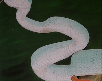 Pit Viper Snake Oil Painting (16&quot; x 20&quot;)