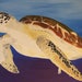 see more listings in the Sea Life section