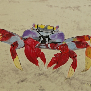 Crab Oil Painting, Original Oil Painting - &quot;Sally Light Foot Crab&quot; (12&quot; x 16&quot;)