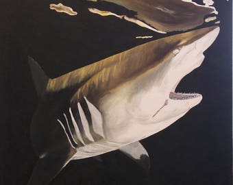 Black Tip Shark Original Oil Painting (20" x 24")