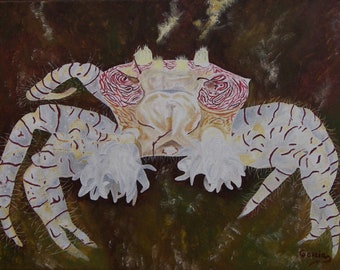Pom-Pom Crab Oil Painting, Original Seascape Art (12x16)